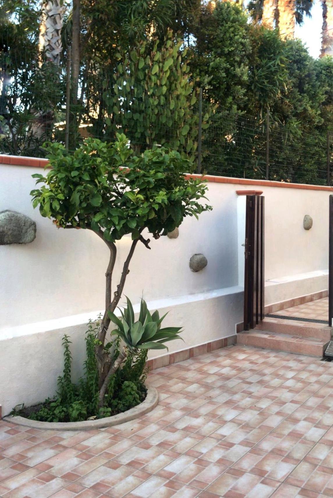 La Turrita Apartments Forio di Ischia Dış mekan fotoğraf